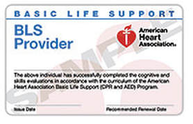 bls basic life support certificate